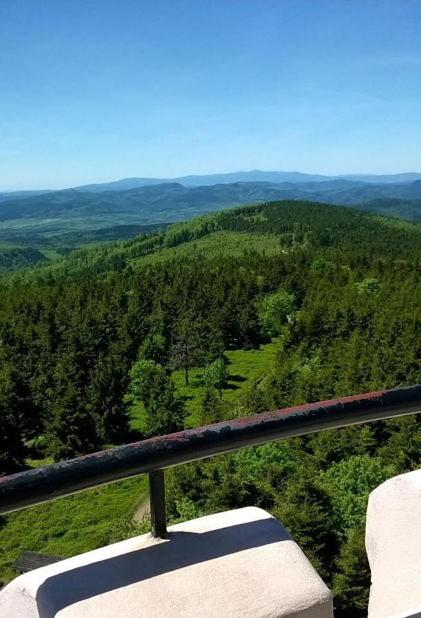Minisowa Apartamento Jedlina-Zdroj Exterior foto