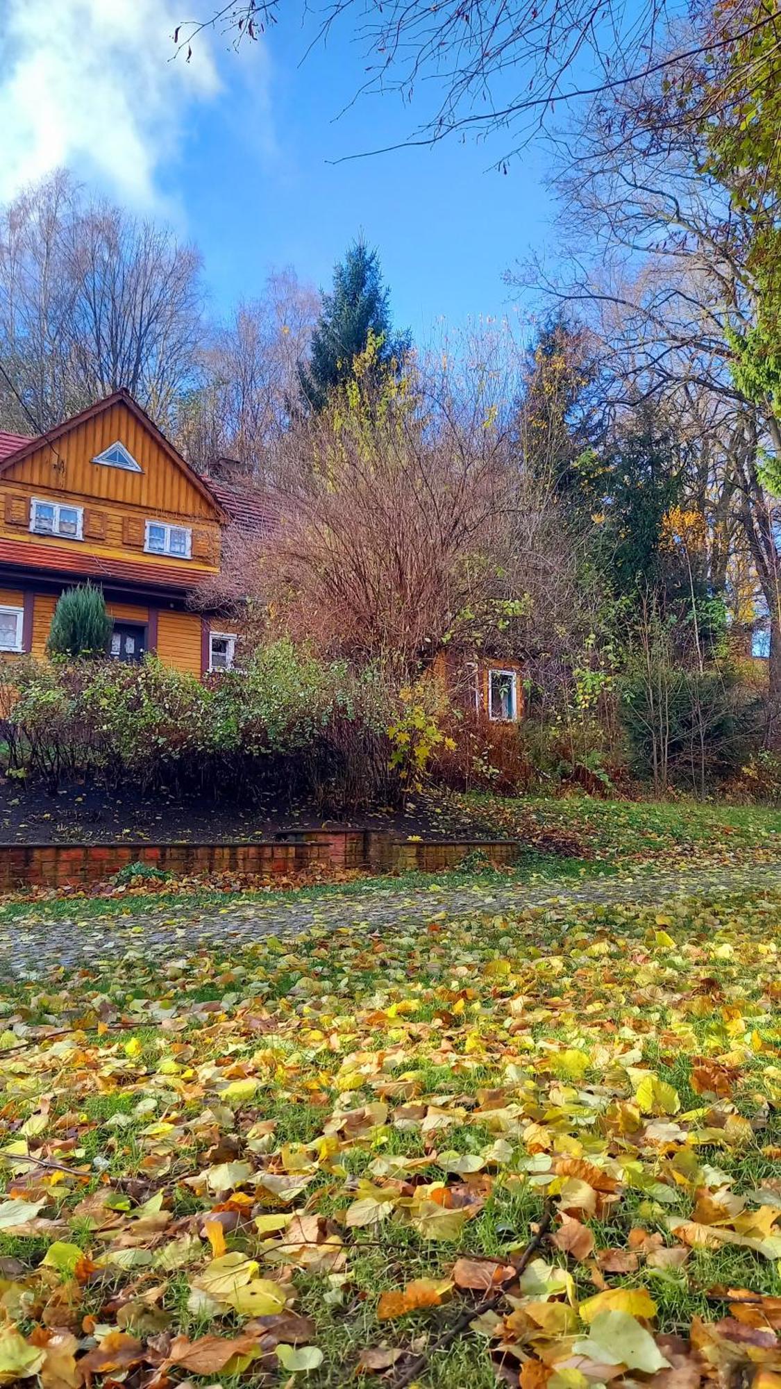 Minisowa Apartamento Jedlina-Zdroj Exterior foto